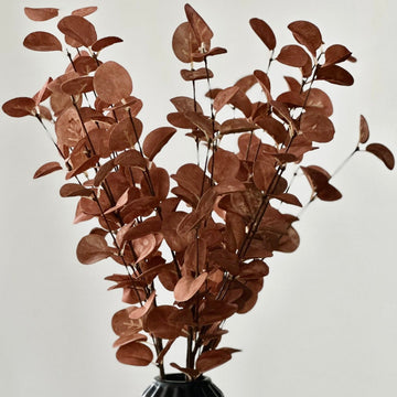 Faux Eucalyptus Brown 70cm (4 Stems) | Warm Toned Décor